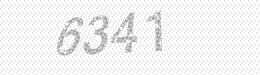 Visual security code — type the characters shown in the image
